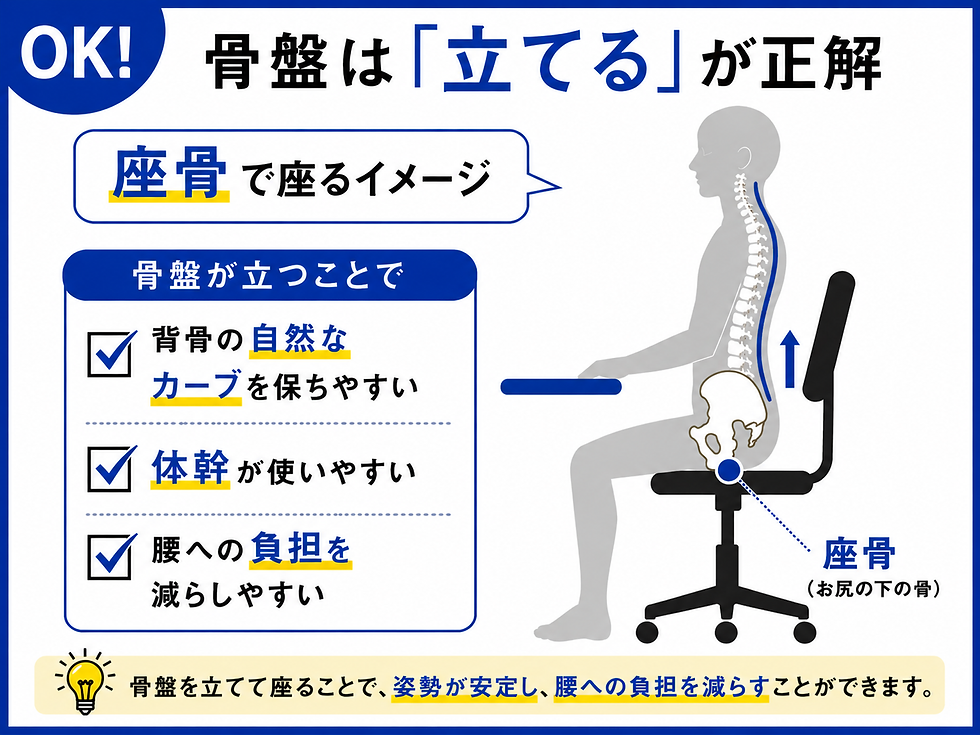 姿勢解説の図。青い「OK!」と「骨盤は『立てる』が正解」、椅子に座る横向き人体と背骨・骨盤の模式図、腰負担軽減の説明。