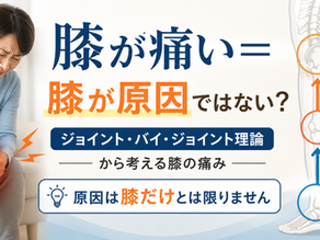 膝を抱えて痛みをこらえる女性と脚の骨の図。画像内に「膝が痛い＝膝が原因ではない？」「原因は膝だけとは限りません」とある。