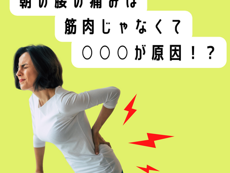 朝の腰の痛みは筋肉じゃなくて○○○が原因!?