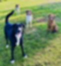 8E2604ED-F0A1-4183-B091-9BF50E67D56F.jpeg
