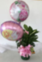 Plant with Balloons