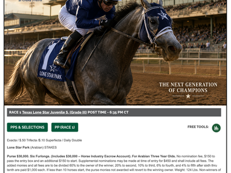 Check out the field for the $30,000 Texas Arabian Juvenile(G3)- Colts & Geldings set for June 12, 2026 at Lone Star Park