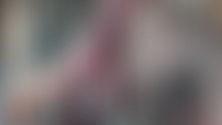 We are the Texas Arabian Breeders Association.