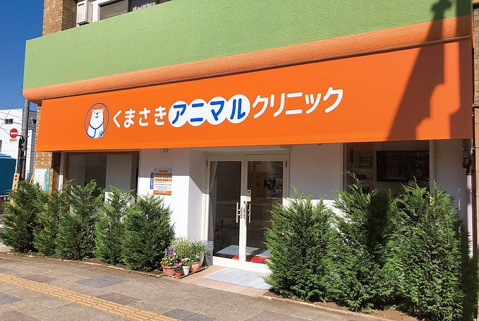 くまさきアニマルクリニック 大分市 中心部 で ペット の ご相談 動物病院 をお探しなら 春日神社 近く くまさきアニマルクリニック 大分市 中心部 で ペット の ご相談 動物病院 をお探しなら 春日神社 近く