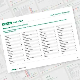 john-yellow-page-10-showcase-belbin-team-role-report.webp