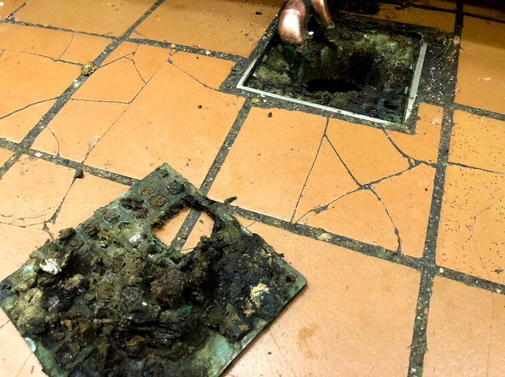 Floor Drain Cleaning for Restaurants in Tampa 