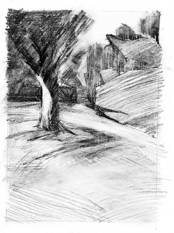 Backyard study Highfields