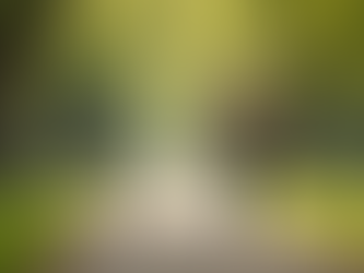 Understanding Seniors Unique Needs: Health, Wellness, and Community Connections