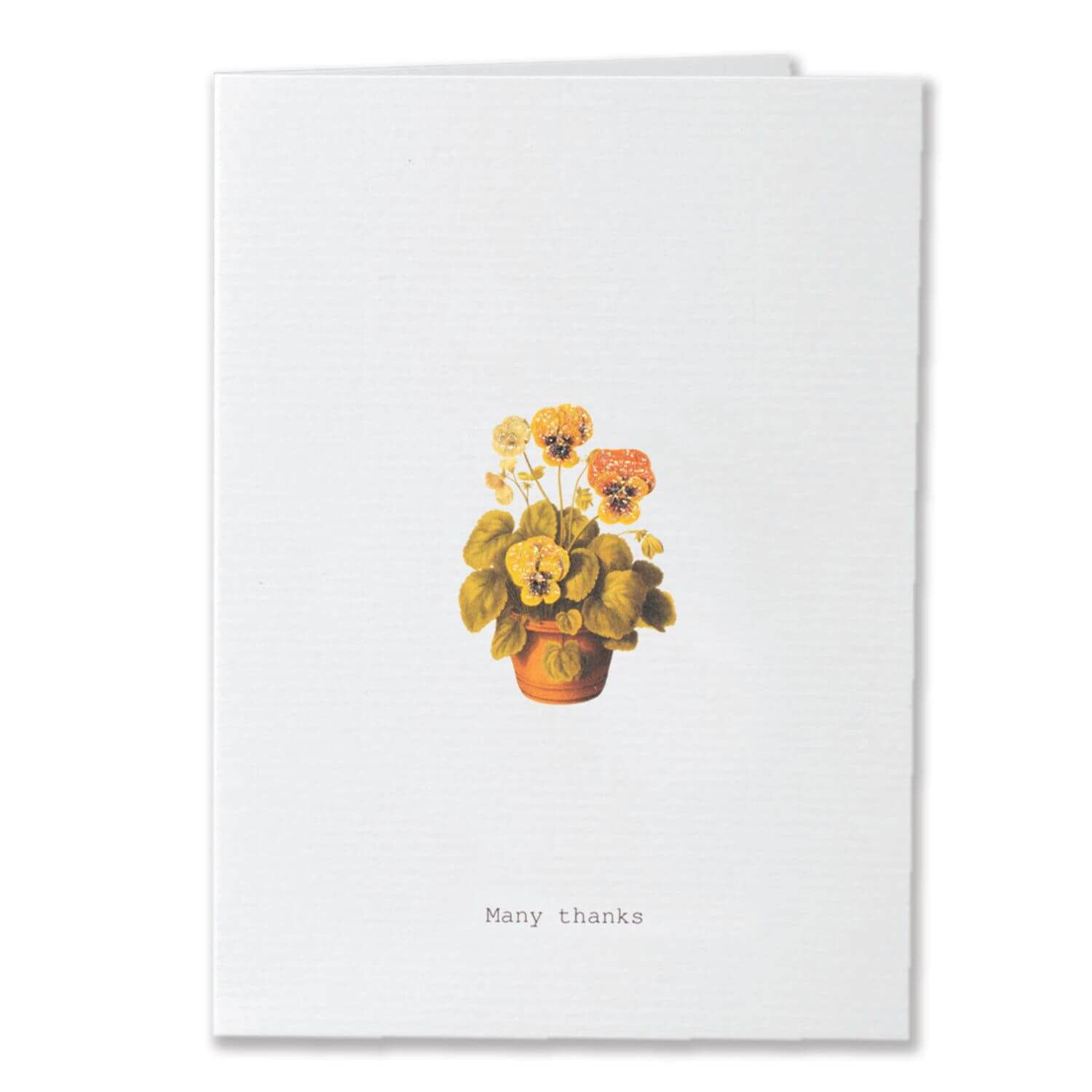 Tokyomilk Card - Many Thanks Pansay