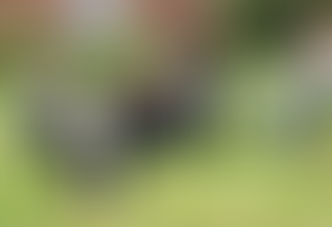 Expériences de créativité