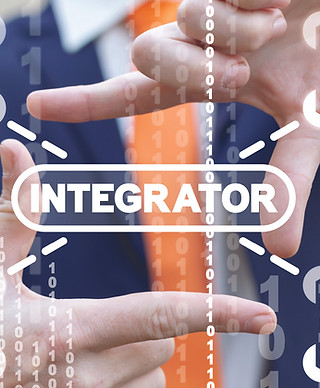 System Integrators