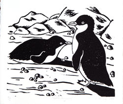 Little Penguins
