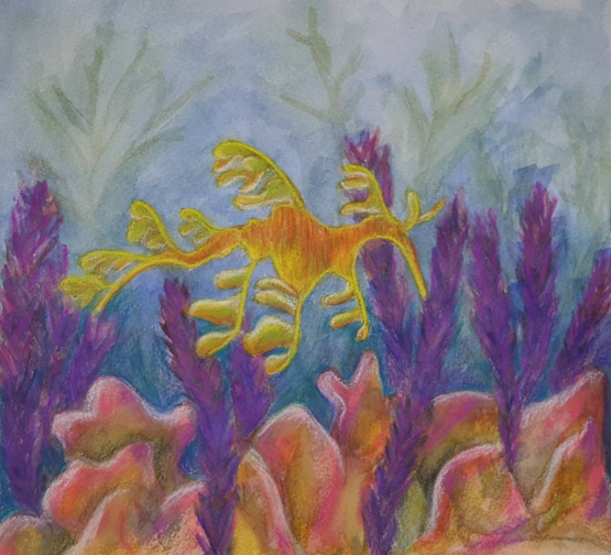 Leafy Sea Dragon