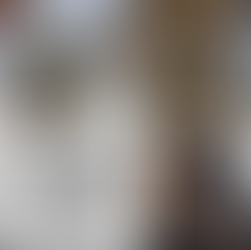 מדע וטבע - חתולים בכל מיני צורות וצבעים