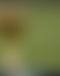 משחק הכדורגל ההזוי בשנה האחרונה