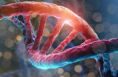Existe um gene que influencia o nível de confiança que você tem nas pessoas
