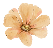 follow your las vegas doula on instagram