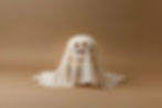 Ghost burgers.jpeg
