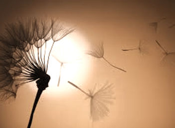 Yvonne Dryburgh, counsellor in Aberystwyth supporting counselling recovery