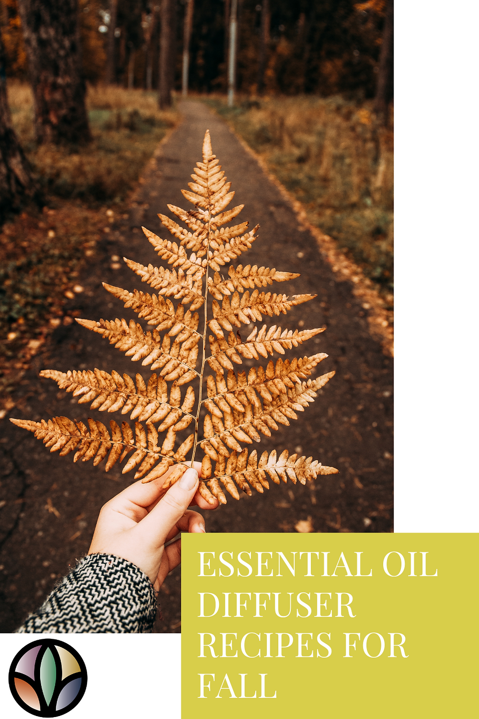 Essential Oils for Fall: Diffuser recipes for creating an irresistibly warm and cozy home