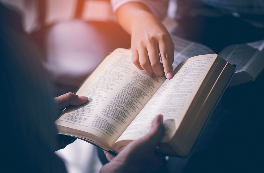 Male adults are reading the Holy bible b