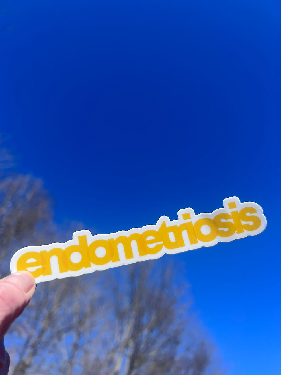 Miniatura: "Endo Bold" Endometriosis Awareness Sticker