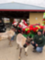 Santa Claus Christmas Parade 2024