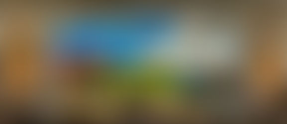 Two WWII Pilots are Heroes from Rose, Wayne County