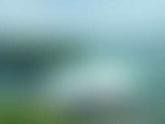 Toronto to Niagara-The Ultimate Guide: A Fun Bus Journey - Laughter, Mist & Memories