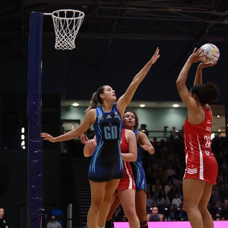 forest and panthers on court