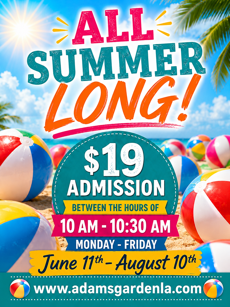 FINAL SUMER PROMO .png