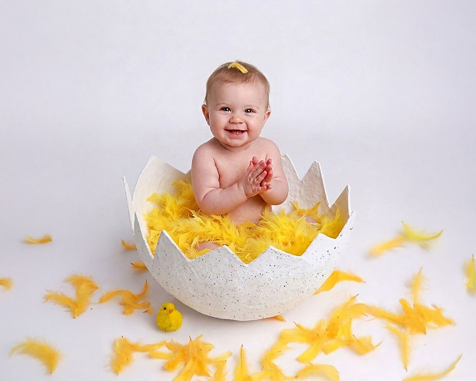 Little Chick
