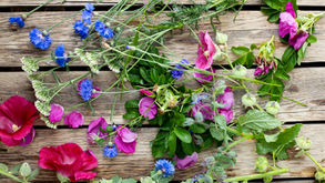 Plantfulness - Reconnection with Self through Plants