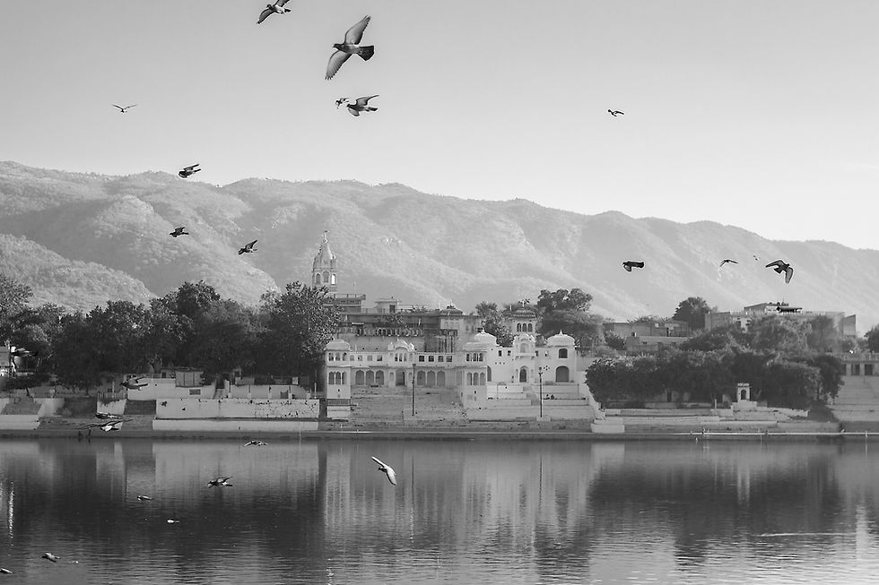 _MG_0135