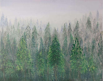 foggy day 06-14-2026 _edited.jpg