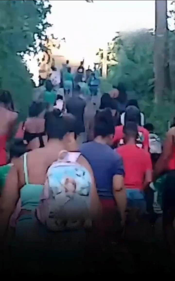 Reprodução