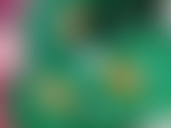 HUMILHAÇÃO E SOFRIMENTO DAS CRIANÇAS COM INSEGURANÇA ALIMENTAR E NUTRICIONAL: Prefeito Diógenes Tolentino, Del e vereadores ignoram alimentação nutritiva e saudável nas creches de Simões Filho