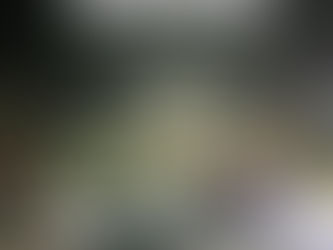 DITADOR DIÓGENES TOLENTINO PERSEGUIDOR E TRUCULENTO CONTRA O POVO: Prefeito tentou impedir Feira de Saúde e decisão gerou revolta na população de Simões Filho