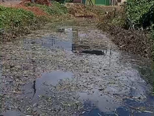 Moradores da Ilha de São João assumem o combate à omissão e negligência da Prefeitura de Simões Filho; mutirão para limpeza de córrego exige respeito do poder público municipal com a comunidade local