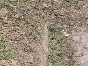 Comunidade de Mapele age frente ao descaso da atual gestão da Prefeitura de Simões Filho; moradores fiscalizam limpeza realizada pela SESP enquanto “lideranças” locais se omitem