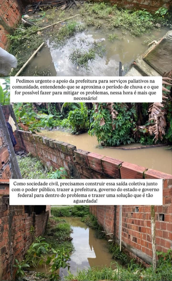 Reprodução