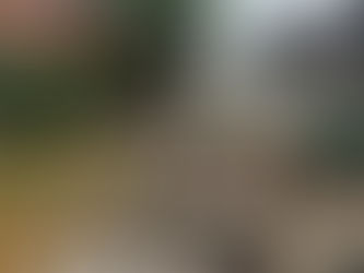 “SIMÕES FILHO JOGADA ÀS TRAÇAS! ISSO É INADMISSÍVEL, PREFEITO DEL!”, diz o agente político Ceará do Povo ao flagrar acúmulo de lixo, mato e sujeira com esgoto e água de chuva na Avenida Paulo Souto
