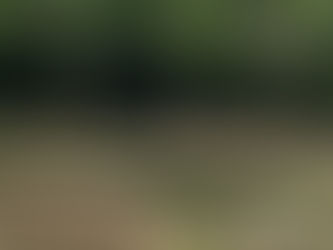 AMOR SEM PRÁTICA: Críticas à gestão do prefeito Del ecoam na localidade do Tanque do Coronel; comunidade ainda vive em meio ao abandono e descaso