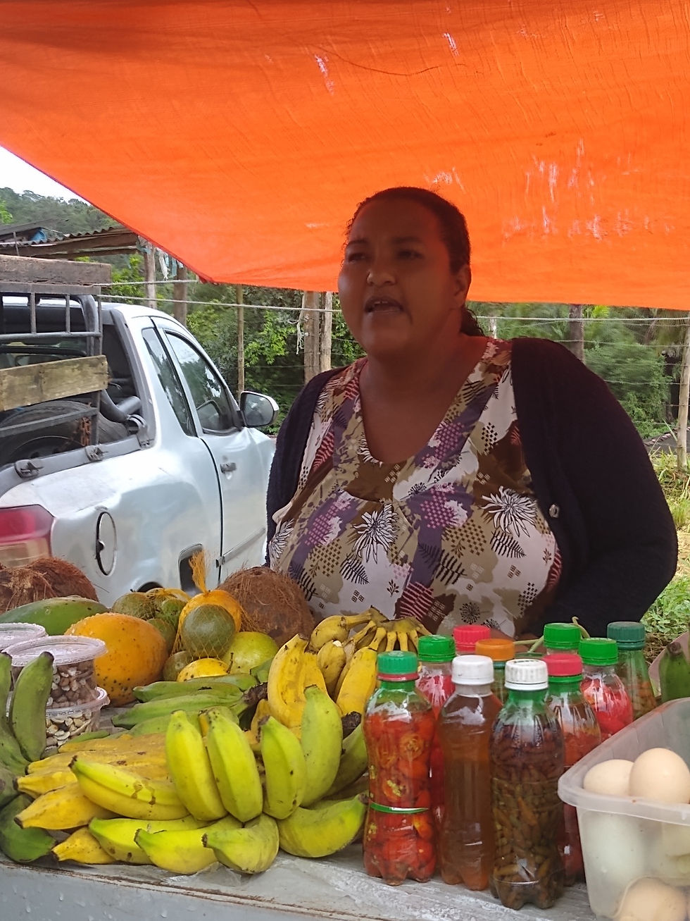 Agricultura familiar da Fazenda Guerreiro/Divulgação Assessoria