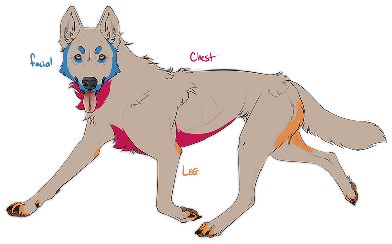 underbelly.png