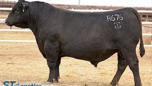 GAR-Reliant-R676-May-2018.jpeg