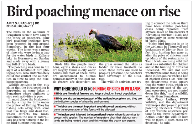 Bird poaching menace on rise