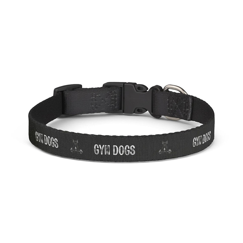 Thumbnail: Gym Dogs Clip-on Pet Collar | Black, Adjustable Nylon
