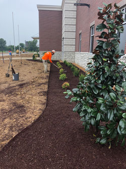 William's Sausage Union City