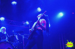 Hinds